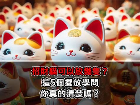 招財貓可以放幾隻|招財貓怎麼擺才對？左手右手不同寓意？擺對才能幫你。